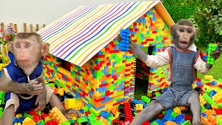 Bim Bim Experiences Lego Building Blocks House With Obedient Baby Monkey Obi