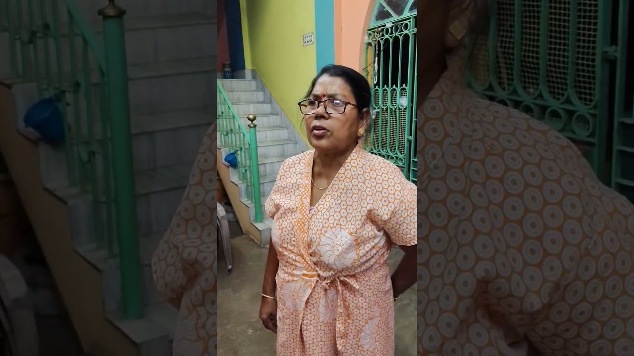 মশা তাড়িয়ে সব দিদির ঘরে পাঠিয়ে দিলাম 