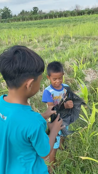Boy and Opet Destroy Kites