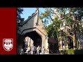A Student-Led Introduction to The University of Chicago College