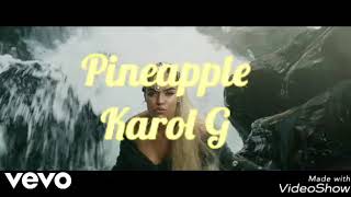 Pineapple-Karol G (testo)