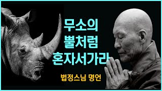 무소의 뿔처럼 혼자서 가라/숫타이파타/부처님법/법정스님 명언