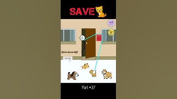 Thief Puzzle Part 37 Gameplay , walkthrough !! #short #gaming #shorts #puzzle #puzzlegame #ytshorts