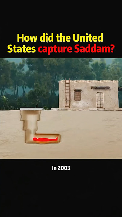 How did the united starts capture saddam?#knowledge #science