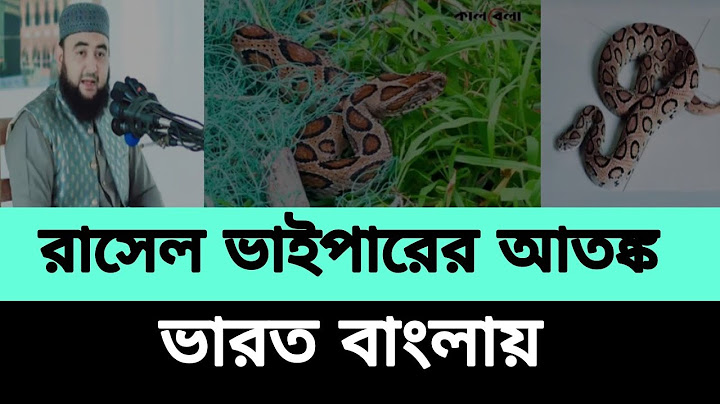 রাসেল ভাইপারের আতঙ্ক ভারত বাংলায়। Mustafizur Rahmani Azhari Waz@TajtvBd