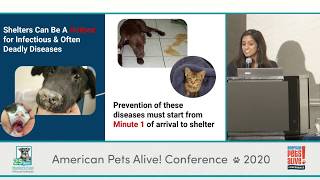 The First 72 Hours: A Model Intake & Animal Flow Process to Prevent Disease - conference recording
