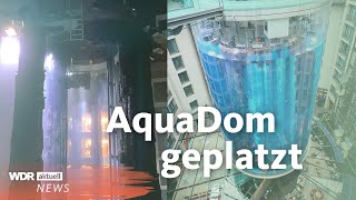 AquaDom Berlin: Riesen Aquarium geplatzt | WDR aktuell screenshot 3