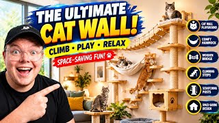 Cat Wall Shelves and Perches