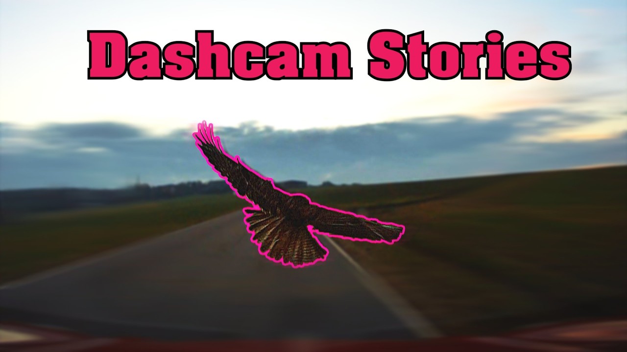 Bussard voraus, Überholzwang und gefährliche Ungeduld  | Dashcam Stories #179