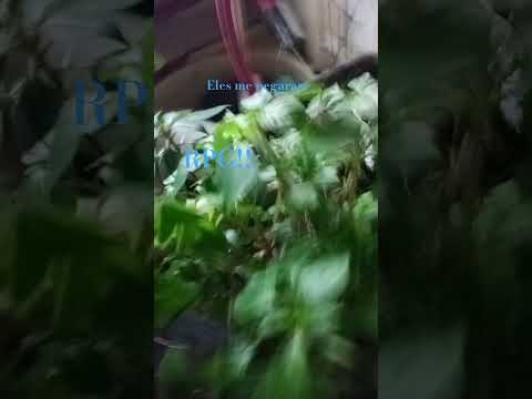 30 De Setembro De 2025 