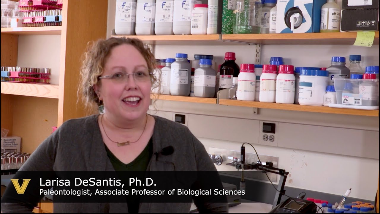 How Fossils Shape the Future: Why Science Funding Fuels Discovery