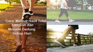 Menghitung Langkah dengan Aplikasi Pedometer + +  Record Jalan Kaki Setiap Hari Otomatis Bagus Diet screenshot 2