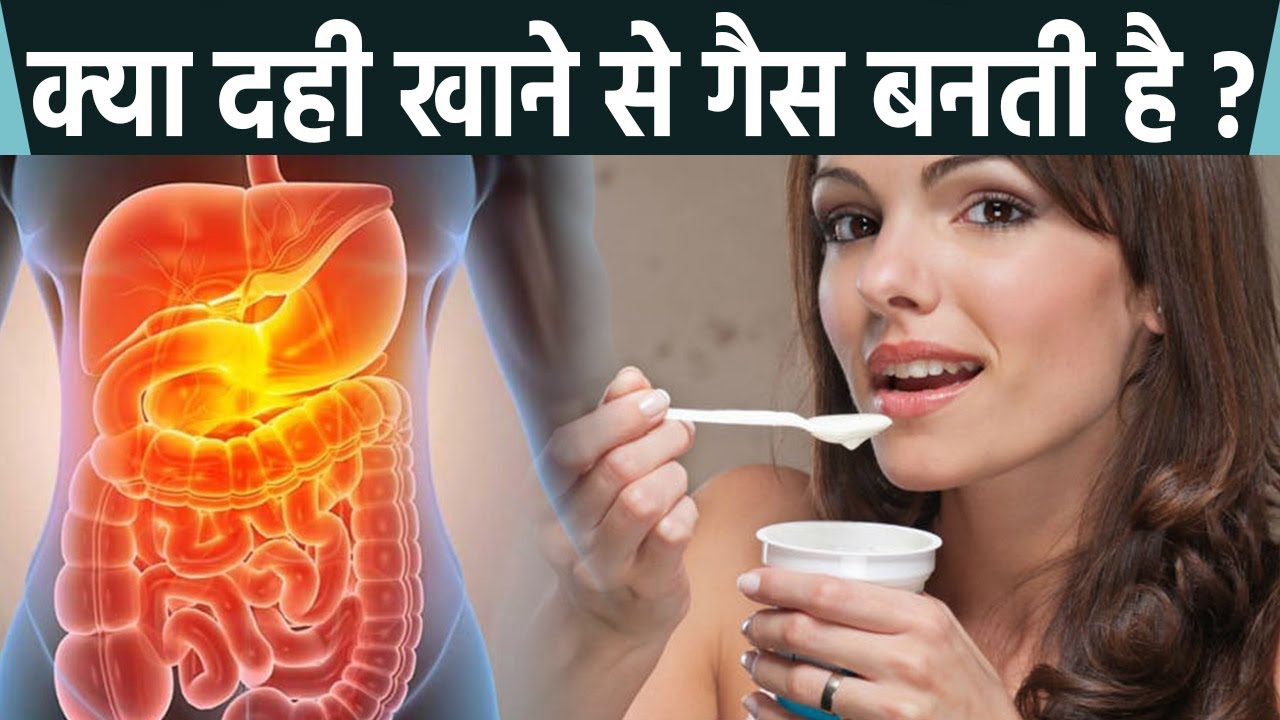 दही खाने से गैस बनती है या नहीं ? । Dahi Khane Se Gas Banti Hai Ya Nahi