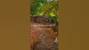 #والذين_كسبو_السيأت #سورة_يونس #جزء_93 #قرآن #اكسبلور #قران_كريم #لايك #تيك_توك #سعد_الغامدي #يوتيوب
