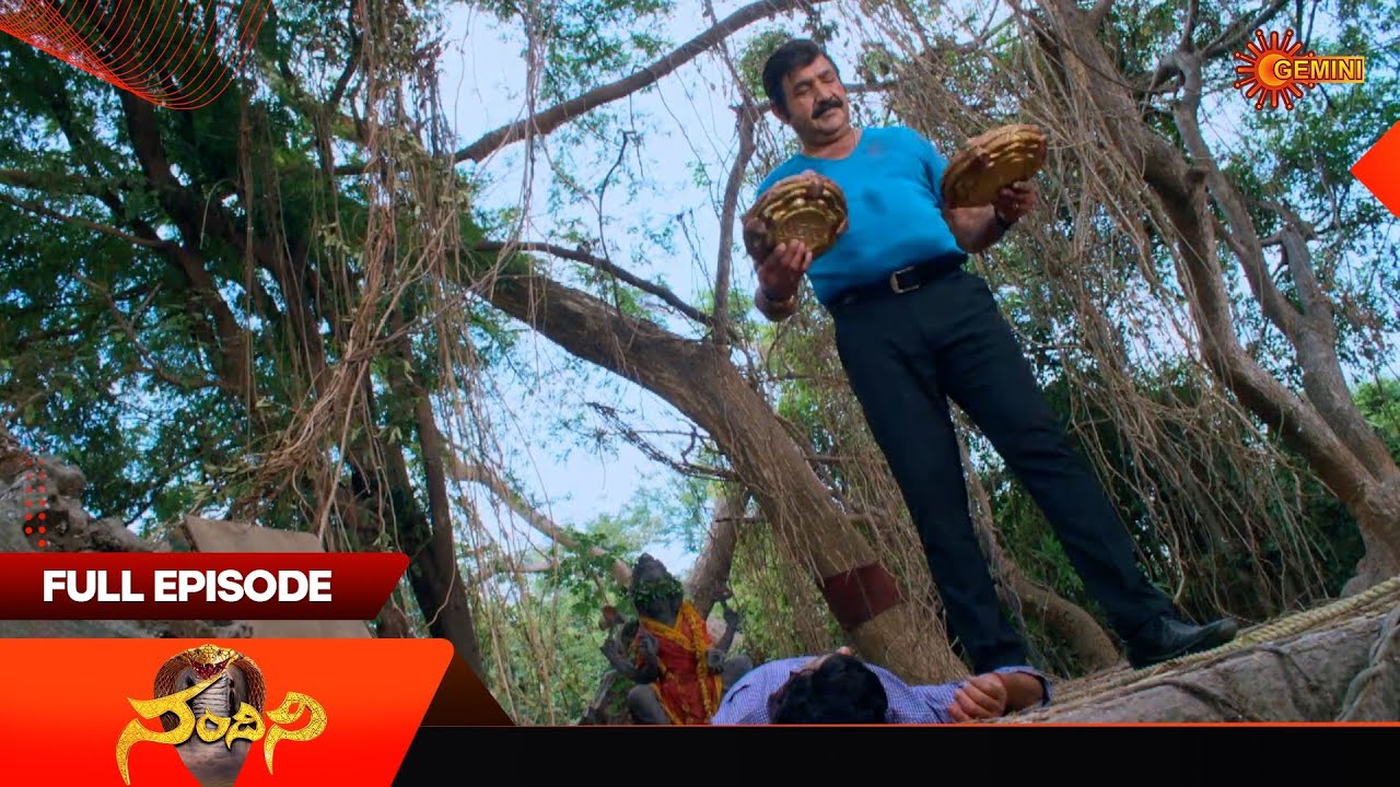 Nandhini - Full Episodes  | EP - 149 | 01 Aug 2025 | Gemini TV | Telugu Serial