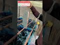 Copper Plating Machine