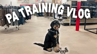 SERVICE DOG PUBLIC ACCESS TRAINING VLOG | full training session with my 6 month old sdit