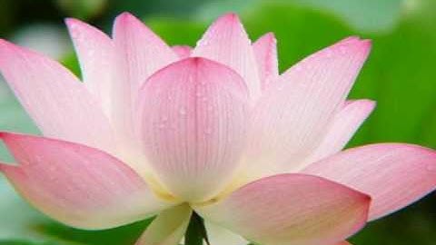 AACC02 Lu Yuan 1530348 Image and Music