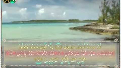 سورة التين بصوت الشبل يوسف كالو