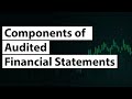 Components of Audited Financial Statements