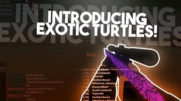 Introducing: Turtles (Edited by Skipper)