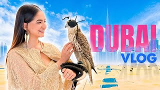 Dubai Vlog: My Performance at the UN Event | @AnushkaSen04