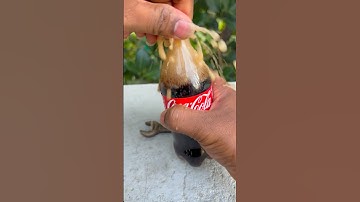 🥤 Coca-Cola vs 🔧 Old Spanner 🧼 | Rust Cleaning Test 😱 Shocking Result! 💥 #Shorts