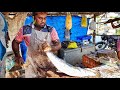 சீலா மீன் வேகமாக வெட்டும் நேரடி காட்சி | Live view of Sheila fish cutting fast