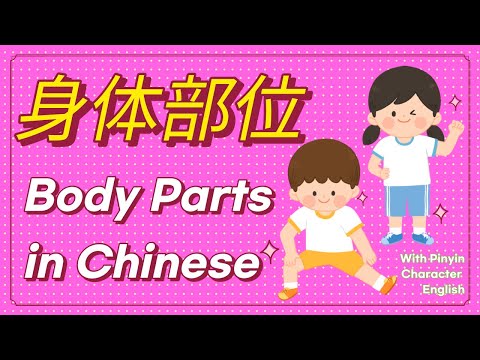 学中文-身体部位 | Body Parts in Mandarin Chinese | 汉语-我的身体 | Vocabulary & Sentences of My Body in Chinese