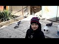 голуби Донбасса молодое поколение приучаем к голубям