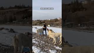 Hayat Paylaştikça Güzel Şi̇mdi̇ Bi̇rli̇k Zamani