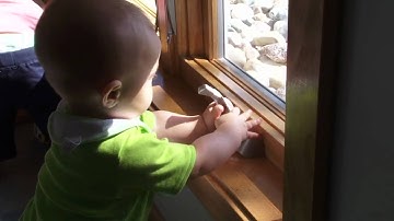 Infant Toddler Sensitive Periods