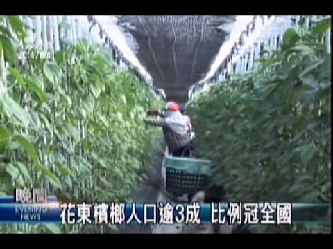 公視晚間新聞2009-12-03(市場需求大 檳榔西施雙手包不停)