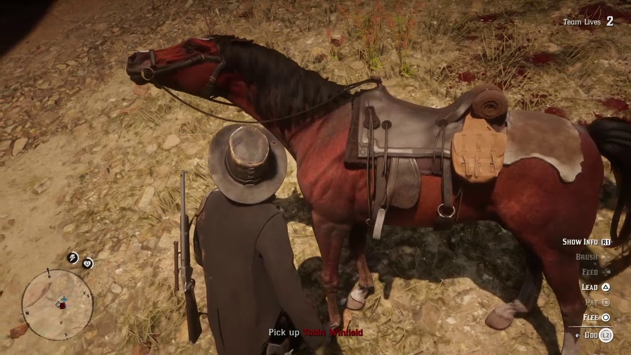 Rote Tote Erlösung 2