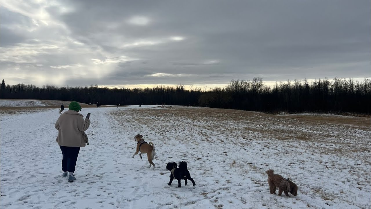 nothing stays the same forever and that’s a good thing 