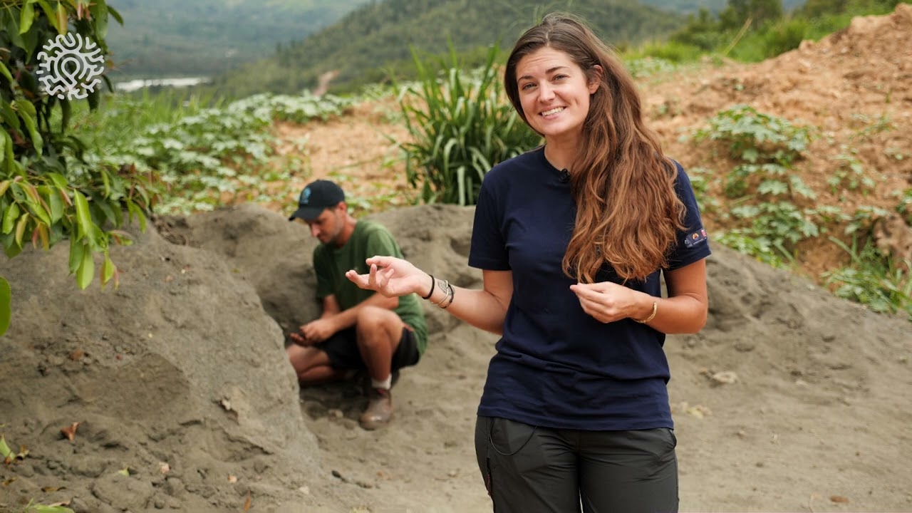 [Agroforesterie épisode 3] Comment améliorer sa production grâce aux MYCORHIZES