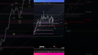 Market Fear and Opportunity