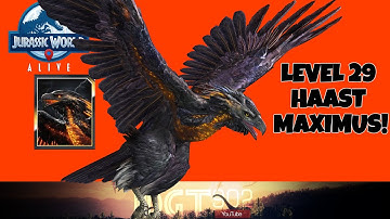 LEVEL 29 HAAST MAXIMUS!! (Jurassic World Alive 2.12)