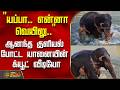 "யப்பா.. என்னா வெயிலு.." - ஆனந்த குளியல் போட்ட யானையின் க்யூட் வீடியோ | ElephantBathing