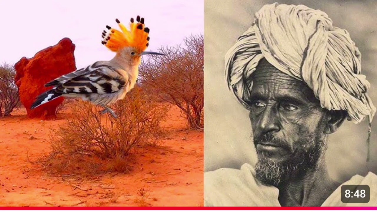 Gabaygii Ismaaciil mire kula hadlay guuguullaha iyo tilmaanta abaartii xumayd.