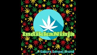 King Palm XXL Unboxing Part 1- Awesome weed products to get you through the day!