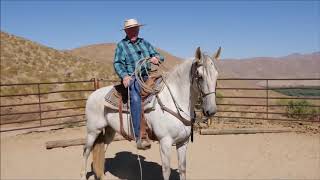 Teach Your Horse to Drag a Log