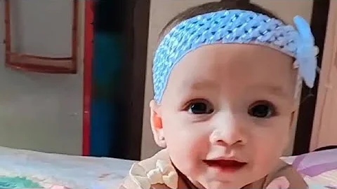 Video 9182801: compilation baby kittens