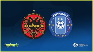 2024 NPLMVIC Dandenong Thunder FC v Avondale FC