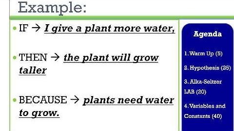 Unit 1.3 and 1.4: Hypotheses and Variables