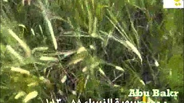 المصحف المرئي - سورة النساء 88 ــ 113 ــ الشيخ #ناصرالقطامي - #قناةآيات