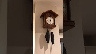 鳩時計 ドイツ製