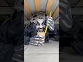 Monster Drinks Boba Tea ЁЯзЛЁЯШВ Shorts Monster Drinks Boba Tea ЁЯзЛЁЯШВ Shorts