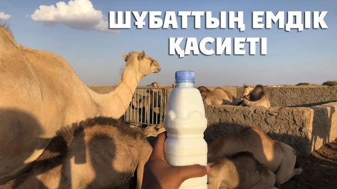 Әйелдер порно үшін мастурбация жасайды