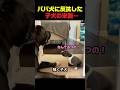 パパ犬に口答えした子犬、最後は… #犬 #子犬 #犬動画 #しつけ #癒し動画